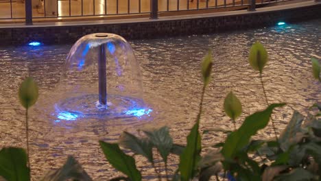 indoor fountain with plants
