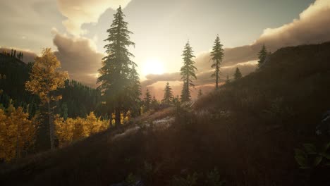 summer forest in mountain landscape