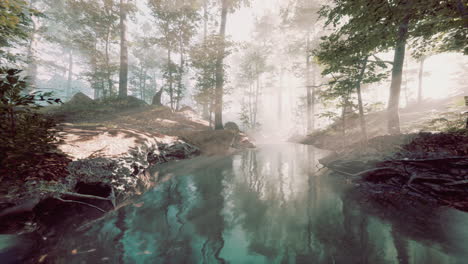 Teich-In-Einem-Wald-Mit-Nebel