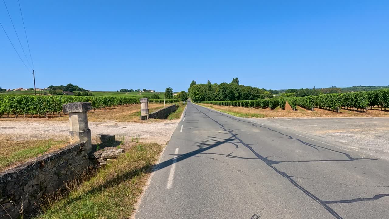 프랑스 포도원 풍경을 가로지르는 경치 좋은 도로