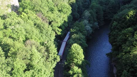 train passing in between trees next to a river on the outskirts, aerial shot