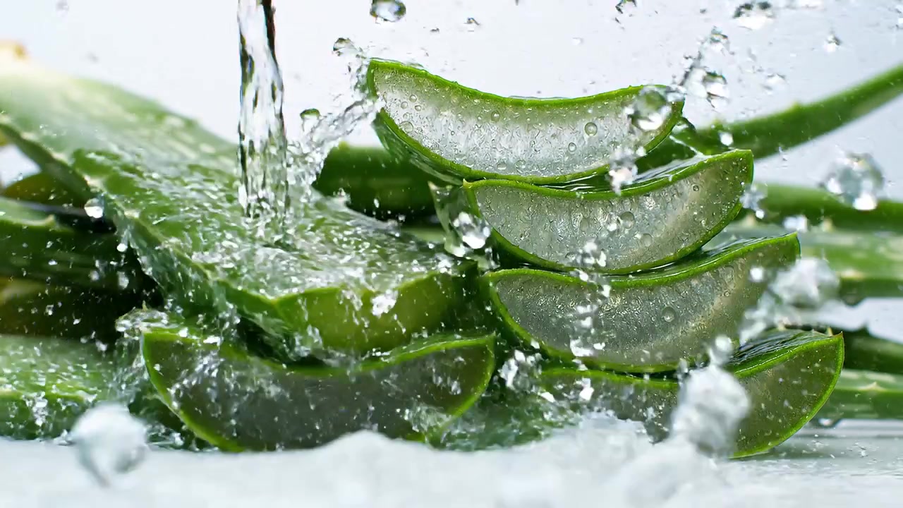 Foglie fresche di aloe vera affettate con spruzzi d'acqua.