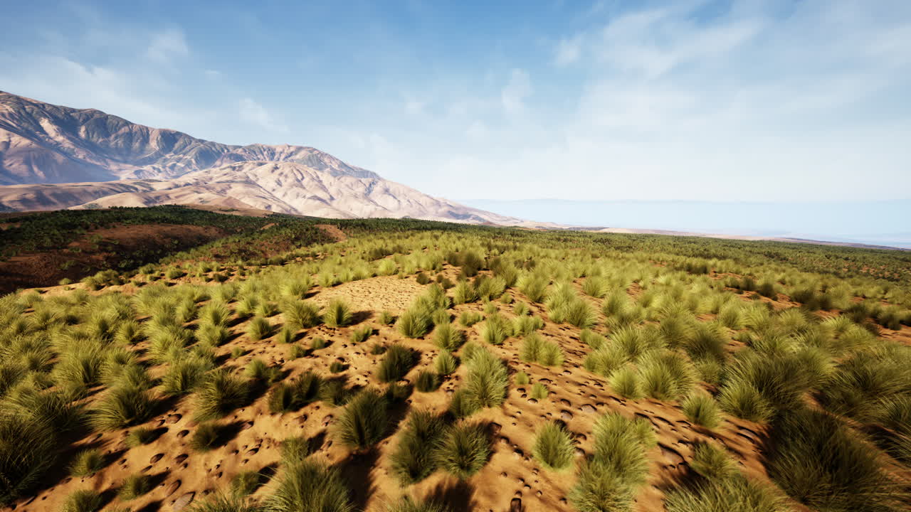 배경 에 산맥 이 있는 초록색 잔디 의 멋진 풍경