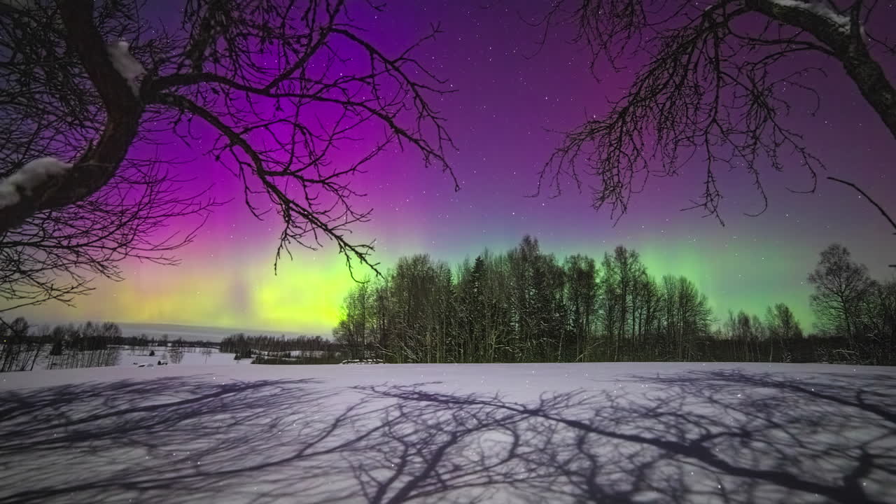 cielo de luces del norte de color púrpura y verde sobre el paisaje del bosque durante el día de invierno - lapso de tiempo