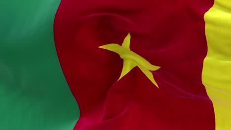 full screen cameroon flag is waving slowly