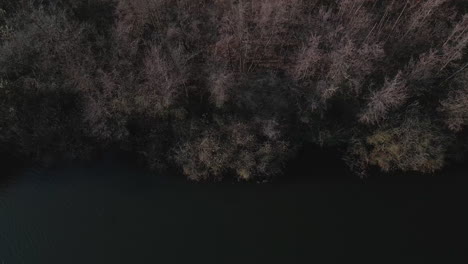 Dense-Treetops-Of-Bushes-On-The-Lake-During-Sunset