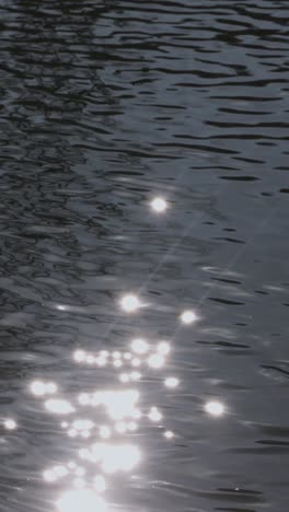 Lago-En-La-Naturaleza