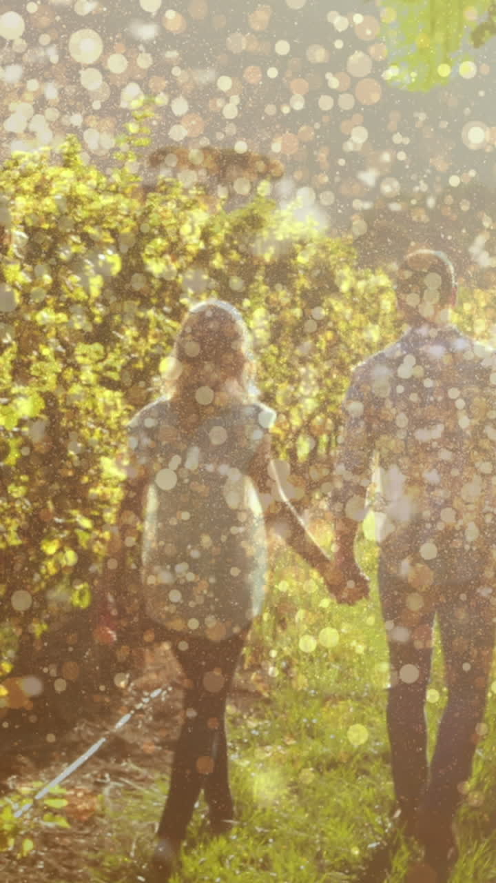 백인 부부 가 손 을 잡고 포도 ⁇  에서  ⁇ 고 있는 빛 의 애니메이션