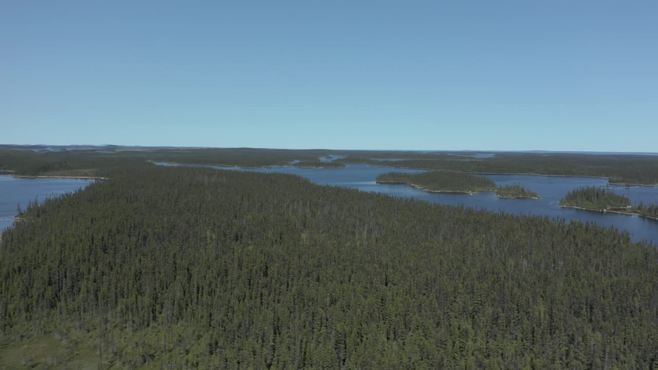 Drone flying laterally over a wild lake and forest on a beautiful summer day