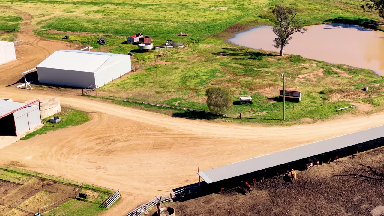 Aerial view of cattle, farm buildings, and water ponds