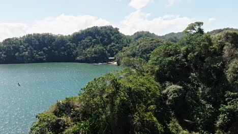 Tranquil-Nature-Of-Los-Haitises-National-Park-With-Dense-Island-In-Dominican-Republic