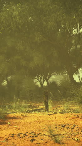 vibrant desert landscape with vegetation in warm light during midday hours