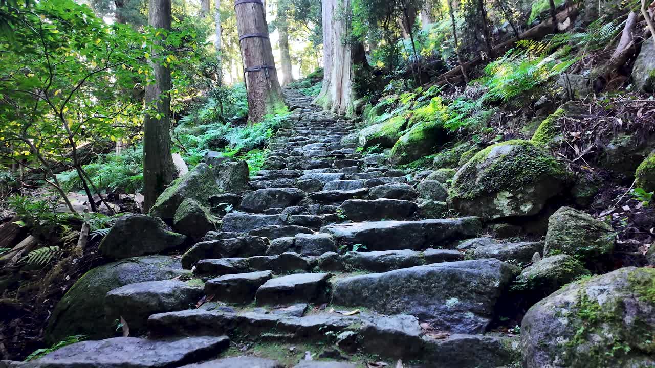 POV Walking Up Historic stone stairway ascending through verdant forest surrounded by moss and trees