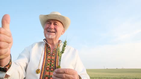 a ukrainian peasant inspects the wheat crop holding an ear of corn in his hand a ukrainian peasant inspects the wheat crop holding an ear of corn in his hand farmer grandfather shows his harvest to the camera