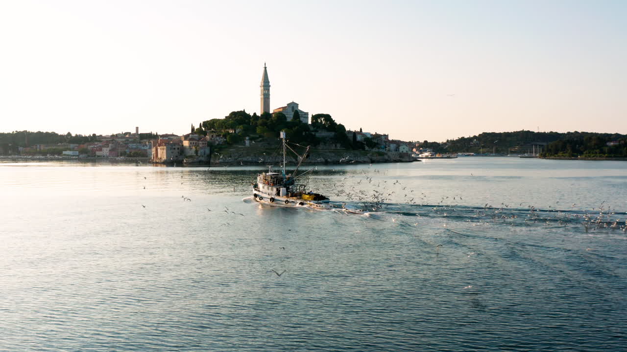 Flying Sea Gulls Behind The Cruising Fishing Boat Heading On City Port Of Rovinj In Istria, Croatia At Sunrise