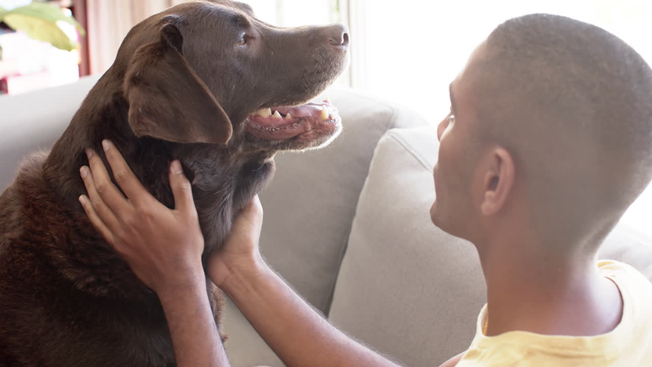 행복한 두 인종의 남자가 집에서 개를  ⁇ 고, 슬로우 모션
