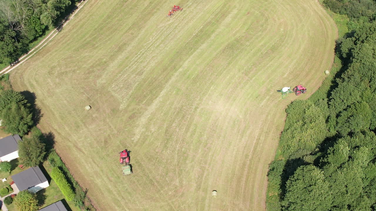 햇빛 동안 자연에서 결합 수확기 절단 잔디 필드의 공중 오버 헤드 샷