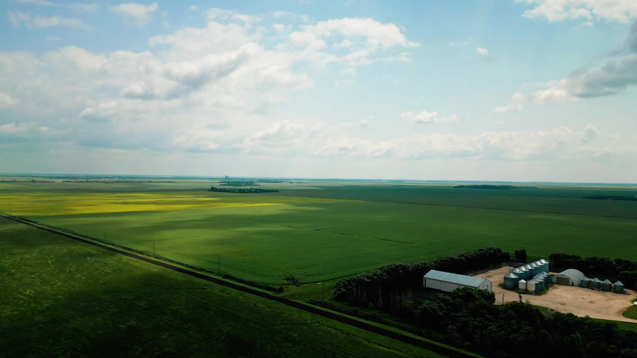 Ripresa lenta in avanti con drone che mostra un'estesa area agricola di prateria con campi di grano, coltivazioni di colza e un casale sotto un cielo estivo blu.