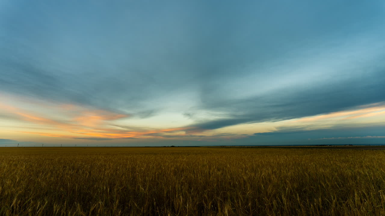 Sunset clouds drifting over peaceful wheat fields time lapse