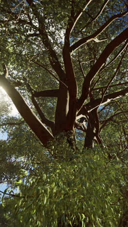 majestic tree with lush green foliage