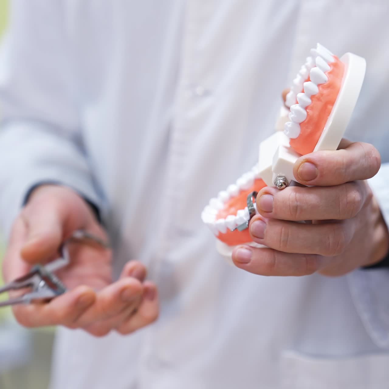 Young medical specialists examine models of teeth. Dentistry school of medicine