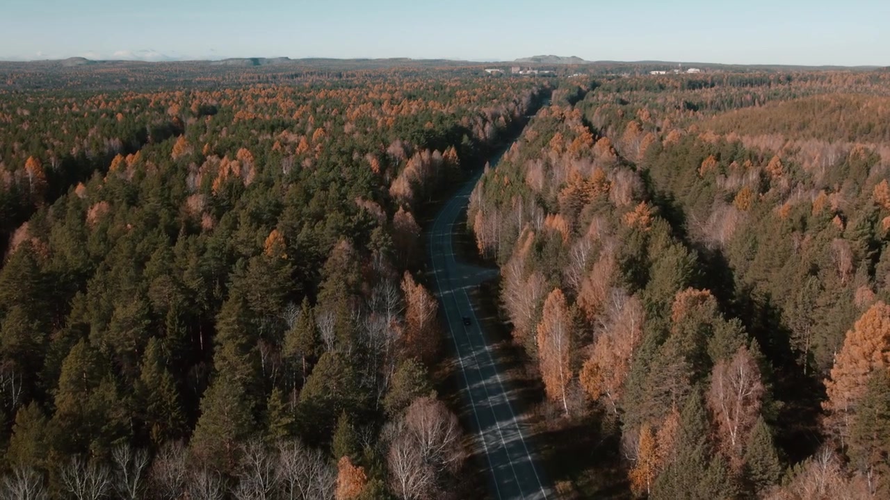 Vista drone di una strada asfaltata vuota che attraversa una colorata foresta autunnale sui Monti Urali, Russia, con alberi misti di conifere e betulle e una calda luce autunnale.