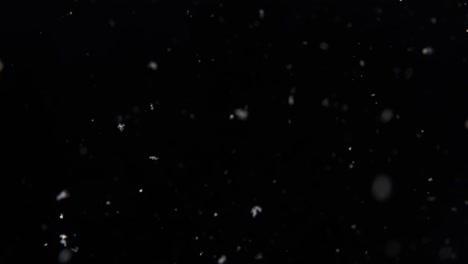 slow-motion flurry of snow in a pitch black january night