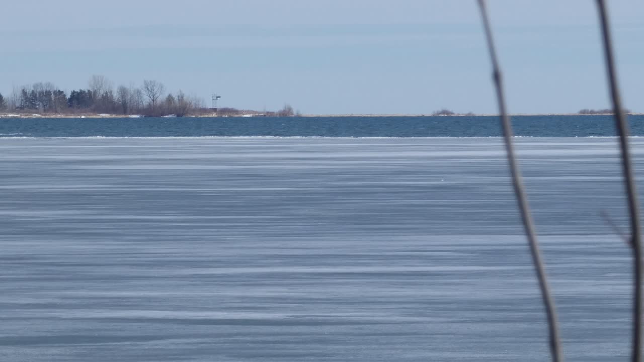 Ice retreats on a frozen bay in early spring, with bare vines in the foreground.