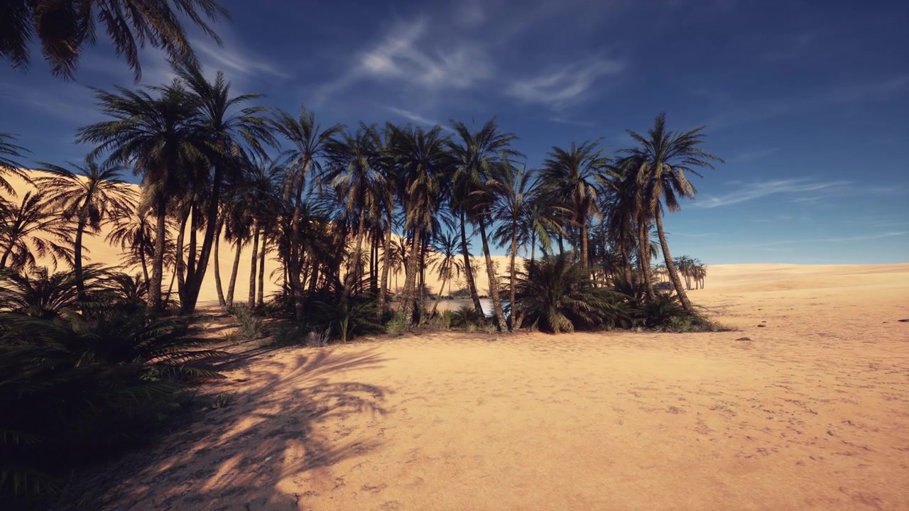 Margem de praia serena com árvores espalhadas e texturas de areia macia