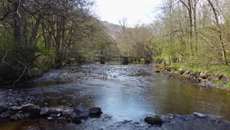 Ein-Laufender-Schuss-Des-Flusses-Im-Dschungel-Im-Tropischen-Regenwald