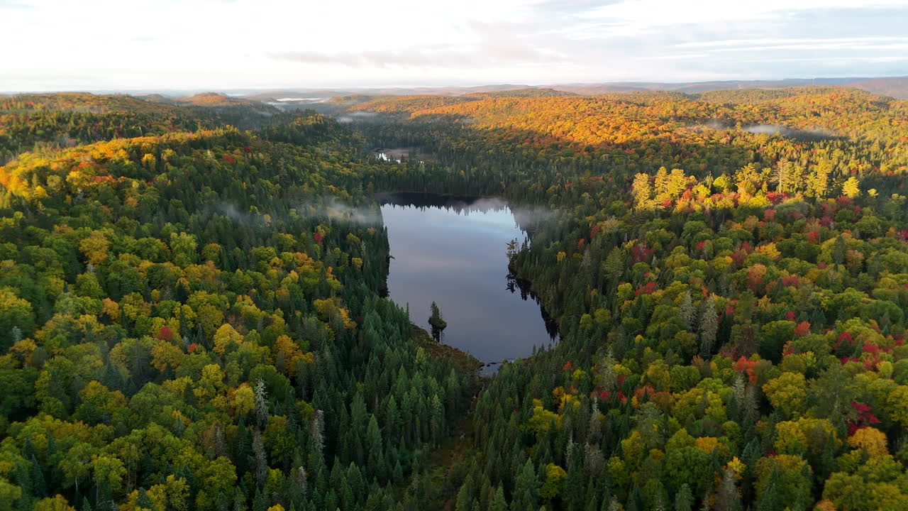 Drone view of a colorful autumn forest with mountains, lake, and river at sunrise in Mauricie, Quebec, Canada. Warm morning light highlights vibrant fall foliage and peaceful landscape
