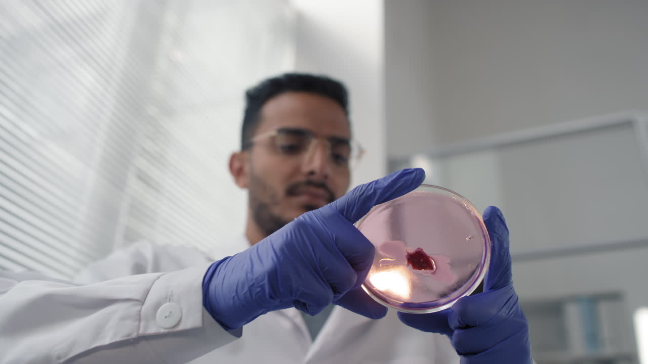 Scientist Examining Petri Dish in Lab