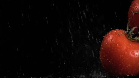 rain in super slow motion falling on tomatoes