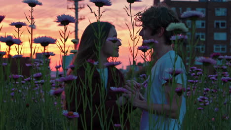 couple in love at sunset among flowers