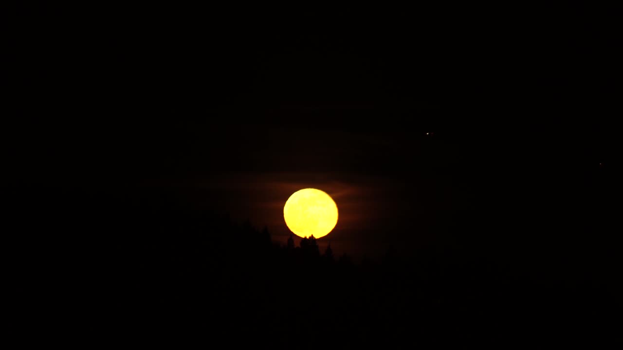 The first full moon of spring, Pink full super moon rising above a distant silhouetted forest, orange glowing high clouds