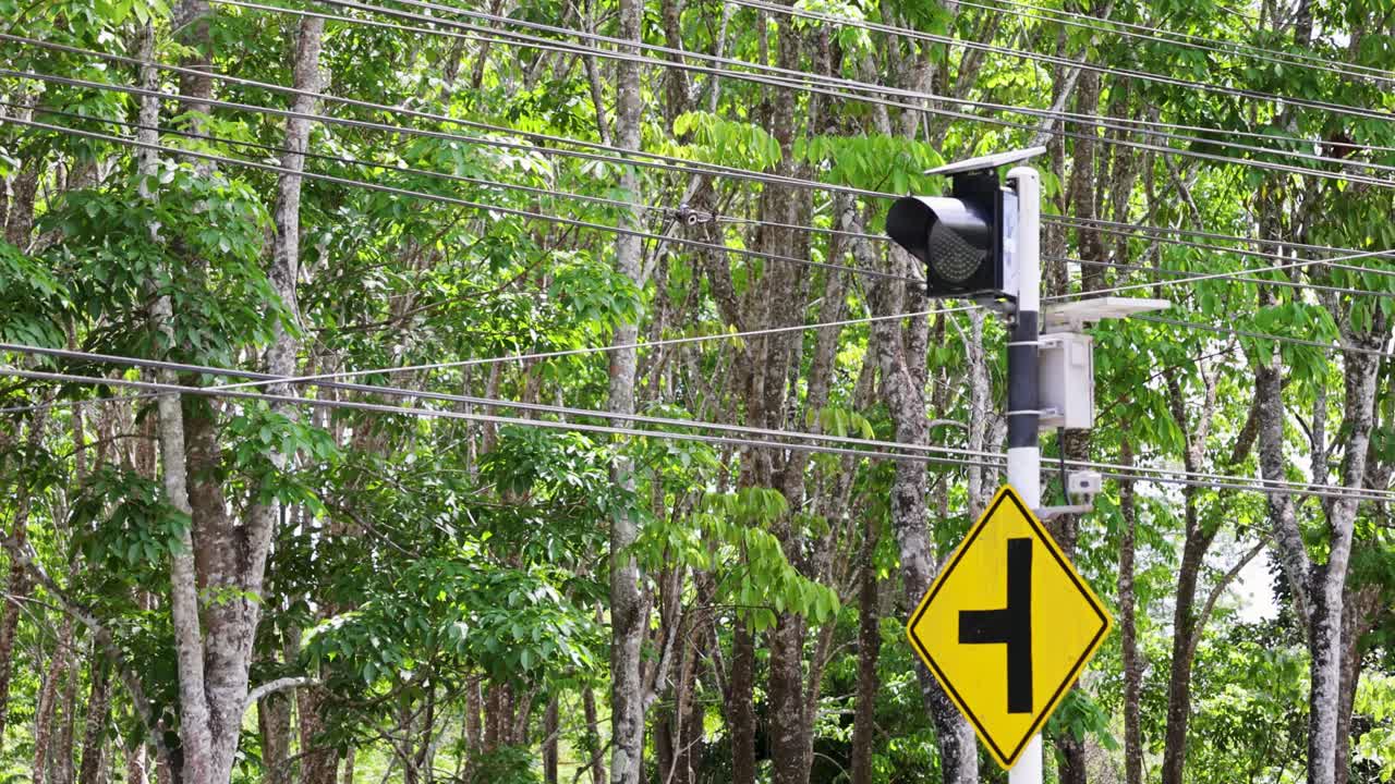 Traffic light flashes yellow at a forested intersection in Phuket, Thailand. Daytime setting with lush greenery and clear visibility