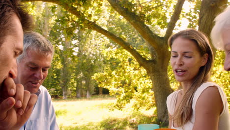 a senior and a young adult couple eating together outdoors