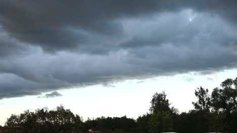 Storm-clouds-above-the-trees