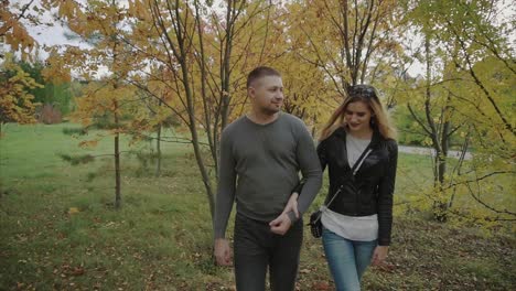 couple walking in an autumn park