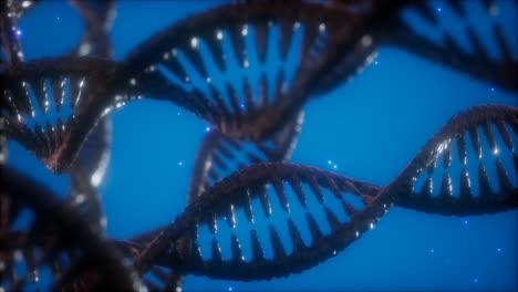 Struktur-Der-DNA-Doppelhelix-Animation