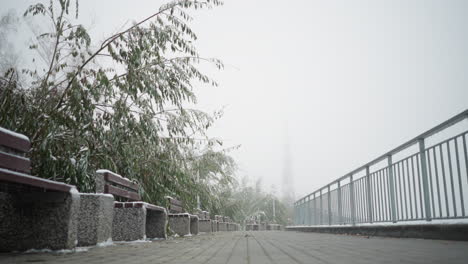 early winter scene with first snowfall covering park benches, light poles, iron railings along interlock walkway, foggy atmosphere and frosted trees create tranquil urban setting