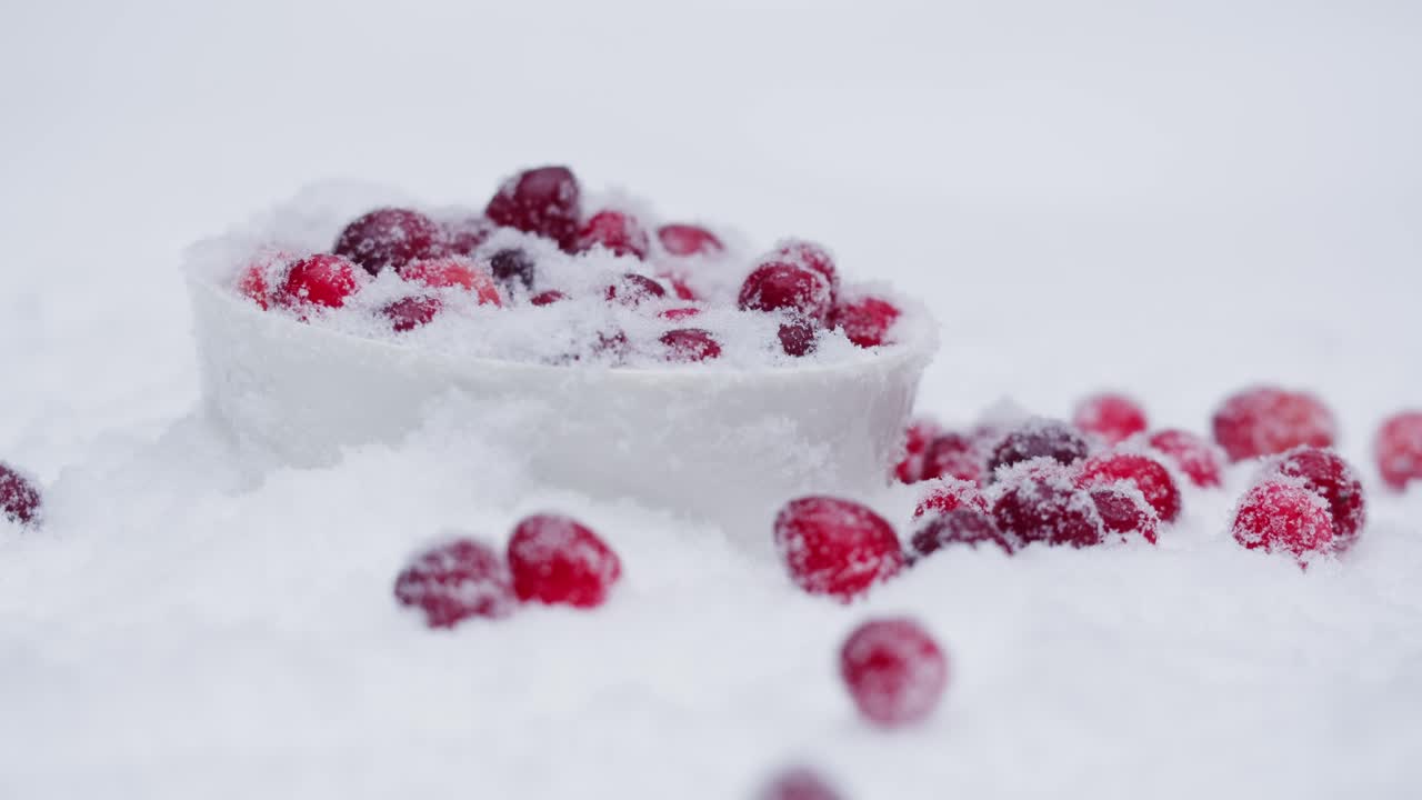 Mirtilli rossi congelati nella neve