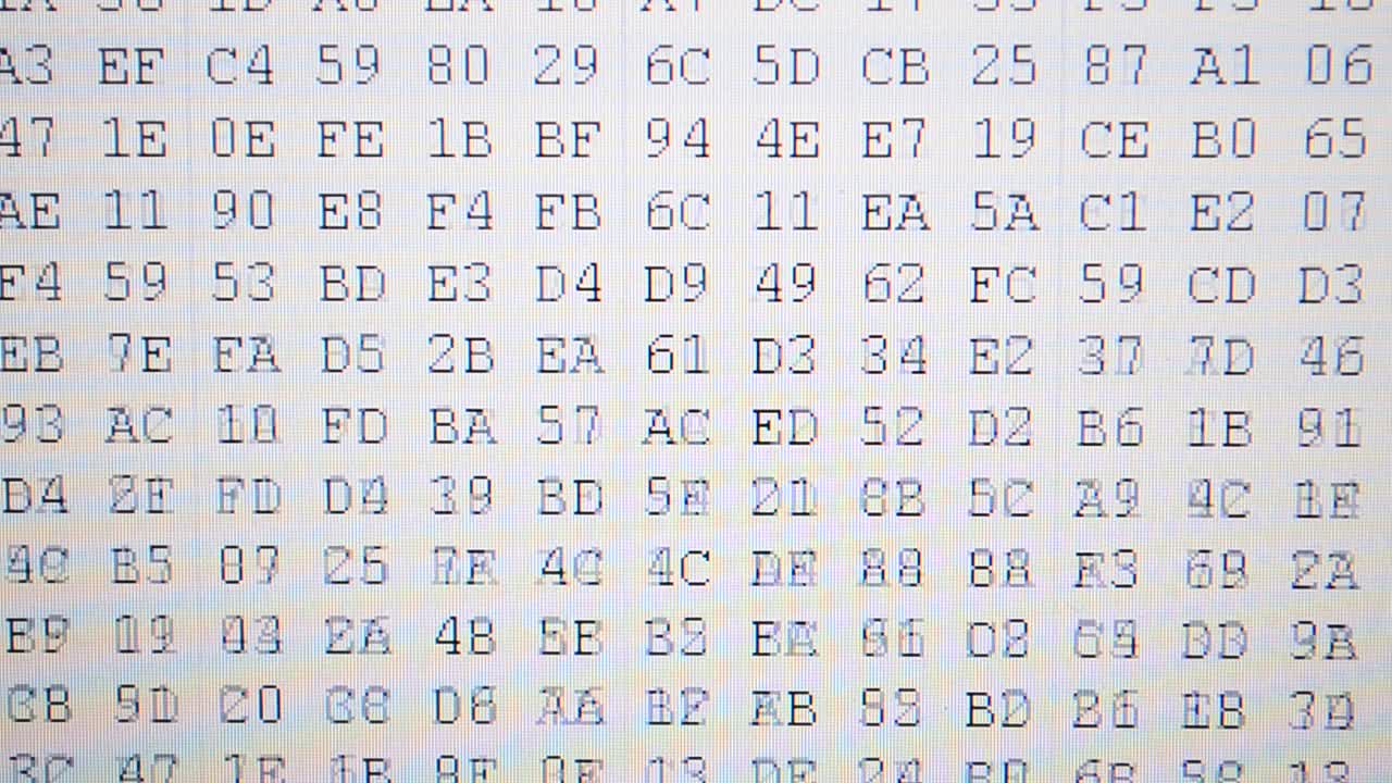 Information in the form of a code. Work of the program for a code. Hexadecimal program code on screen. Animated background of moving binary code numbers