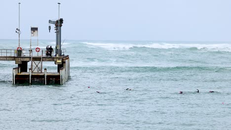 swimmers in the ocean near a pier at port campbell, australia. overcast lighting with gentle waves and steady camera focus