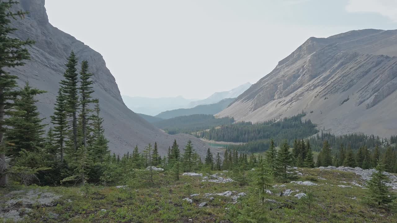 montaña estanque valle bosque revelado pan cangrejo rockies kananaskis alberta canadá