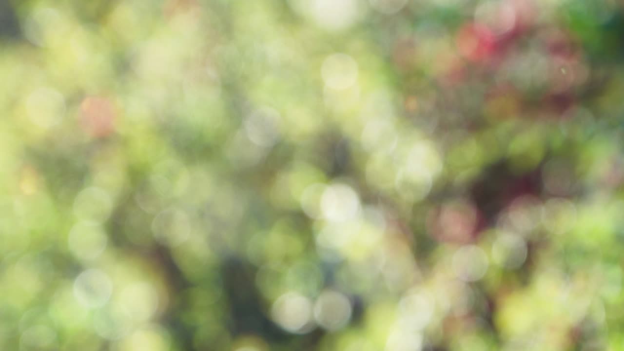 fondo de resorte abstracto con bokeh