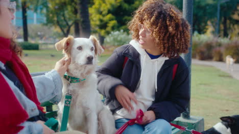 girlfriends sitting on bench with dogs in the park and chatting