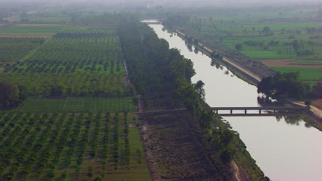 Aerial-view-of-a-canal,-passing-from-the-trees-and-the-farms,-Big-canal-in-the-green-farms,-A-bridge-on-the-canal,-Aerial-view-against-the-sun-light