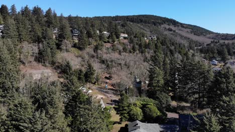 drone flies over trees and homes in the mountains