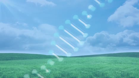 dna 구조가 잔디와 파란 하늘과 함께 풍경에 대해 회전합니다.